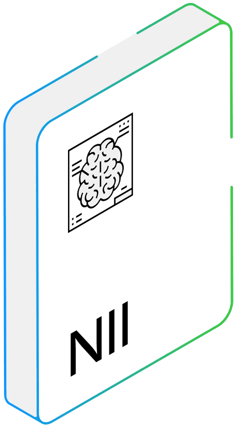 NII file format .nii