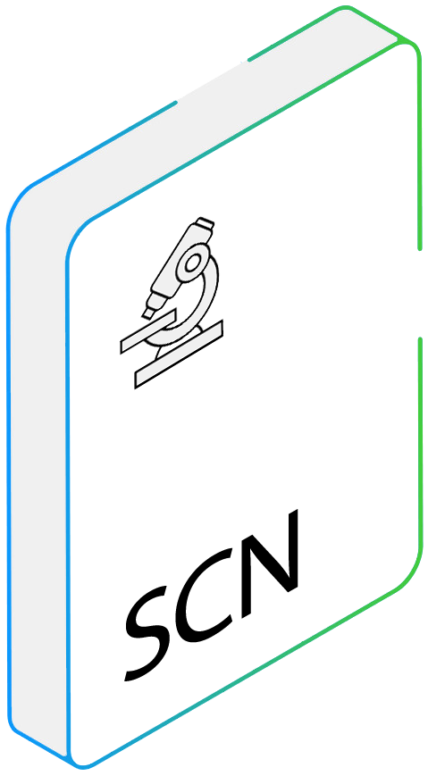 SCN