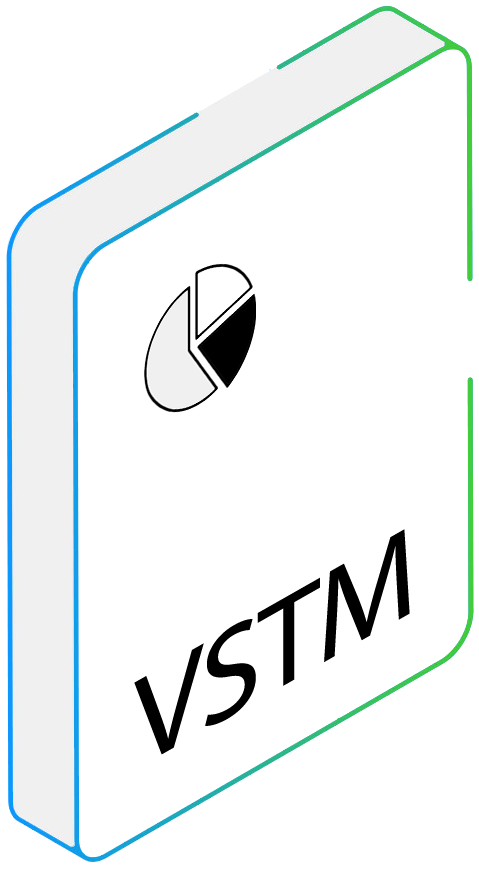 .vstm