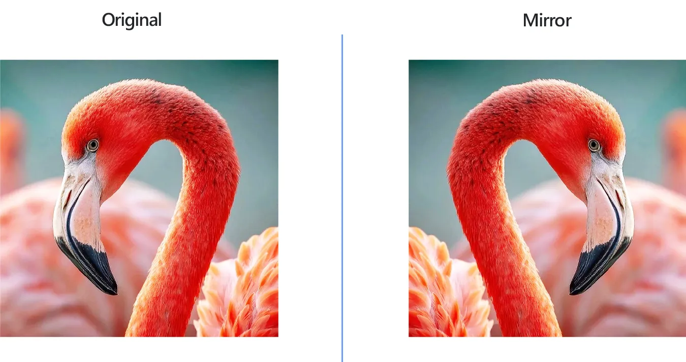 How to flip images using reaConverter